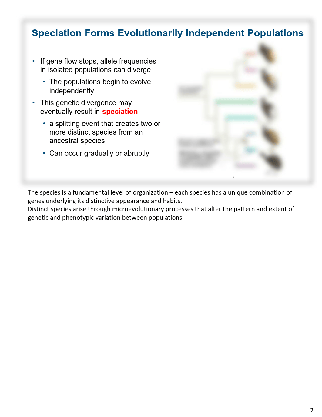 Ch 22 - Speciation - Notes Layout.pdf_dbm6376459o_page2