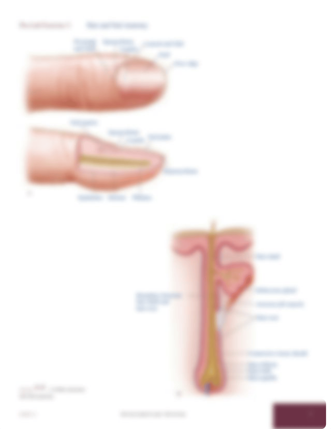 Unit 6_dbmayjva536_page3