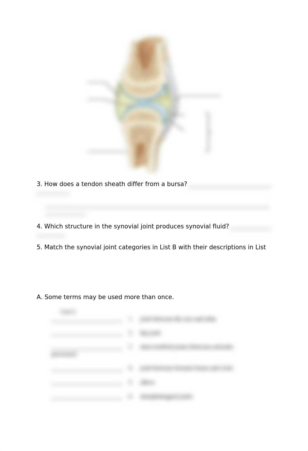 Ex11 Review sheet - Articulations and Body Movements.docx_dbmf13a7mcu_page2