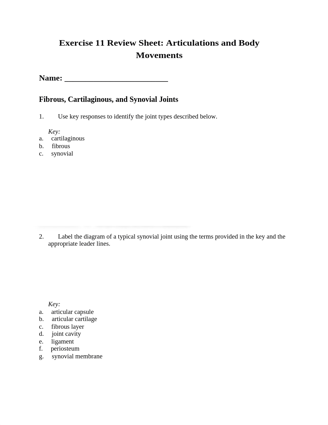 Ex11 Review sheet - Articulations and Body Movements.docx_dbmf13a7mcu_page1