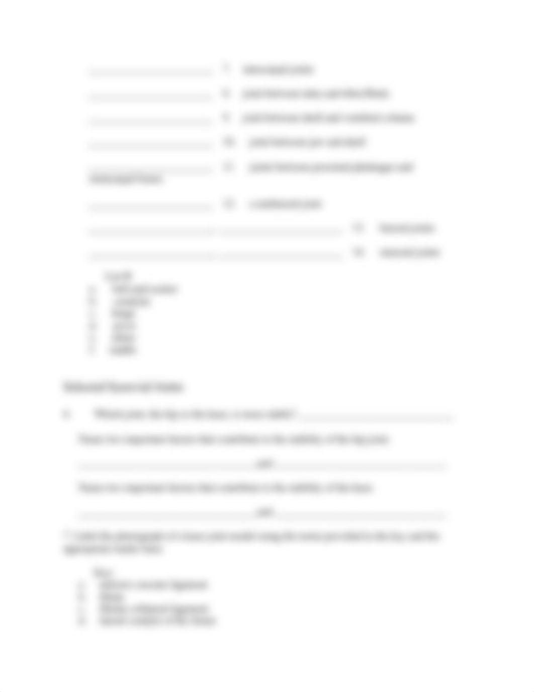 Ex11 Review sheet - Articulations and Body Movements.docx_dbmf13a7mcu_page3