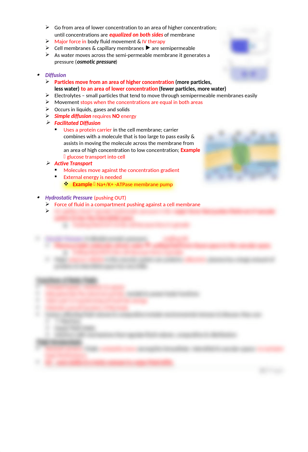 5 - Fluid Balance and Alterations.docx_dbmhypxlhy9_page2