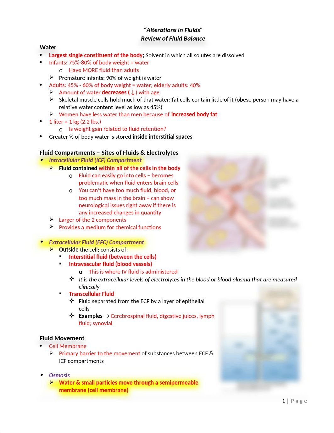 5 - Fluid Balance and Alterations.docx_dbmhypxlhy9_page1