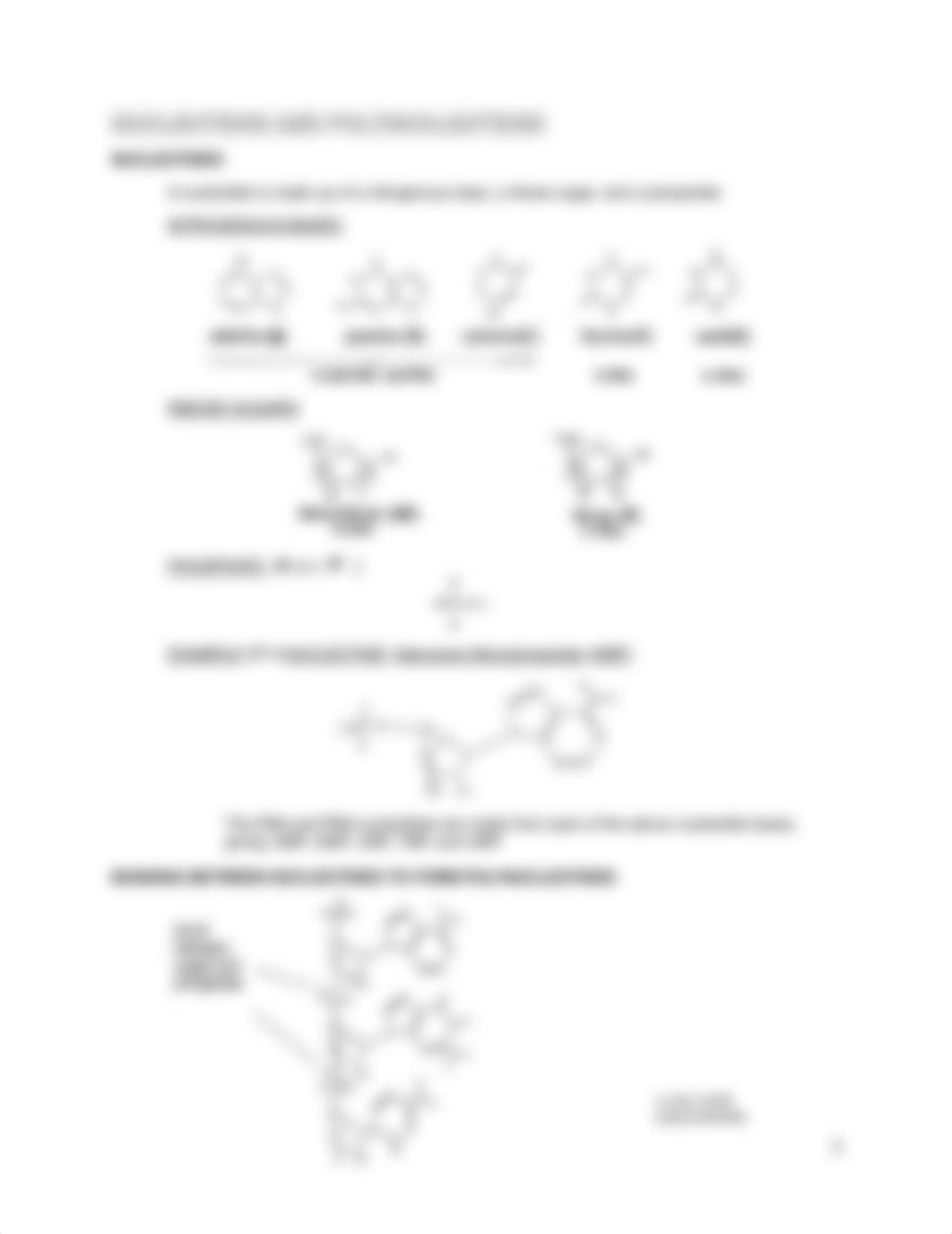 Lab 3- Nucleic Acids 16-18-01-998.pdf_dbn3lv0ijca_page3