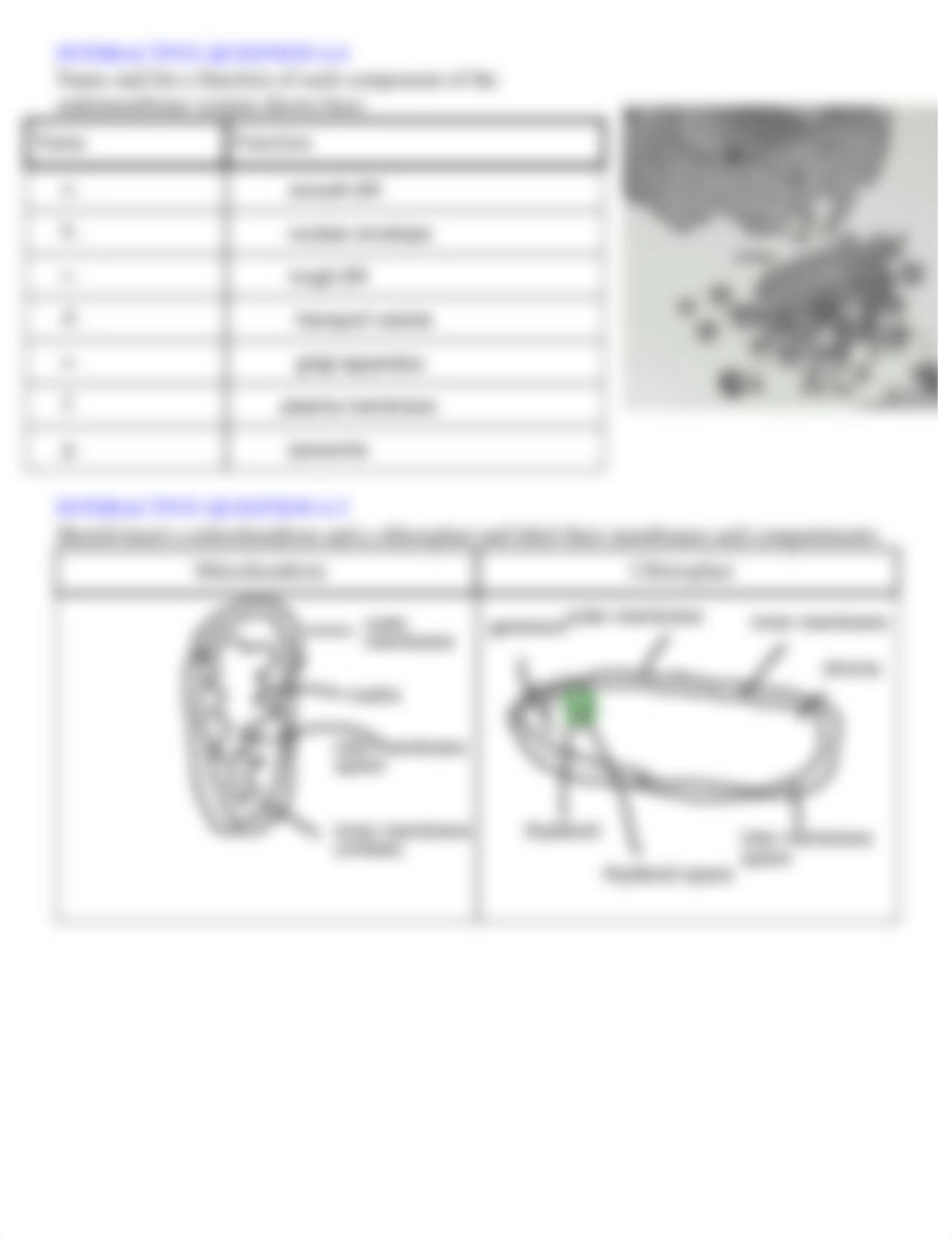 Coffman_InteractiveNotesCh.6.pdf_dbn4bn6jjc0_page2