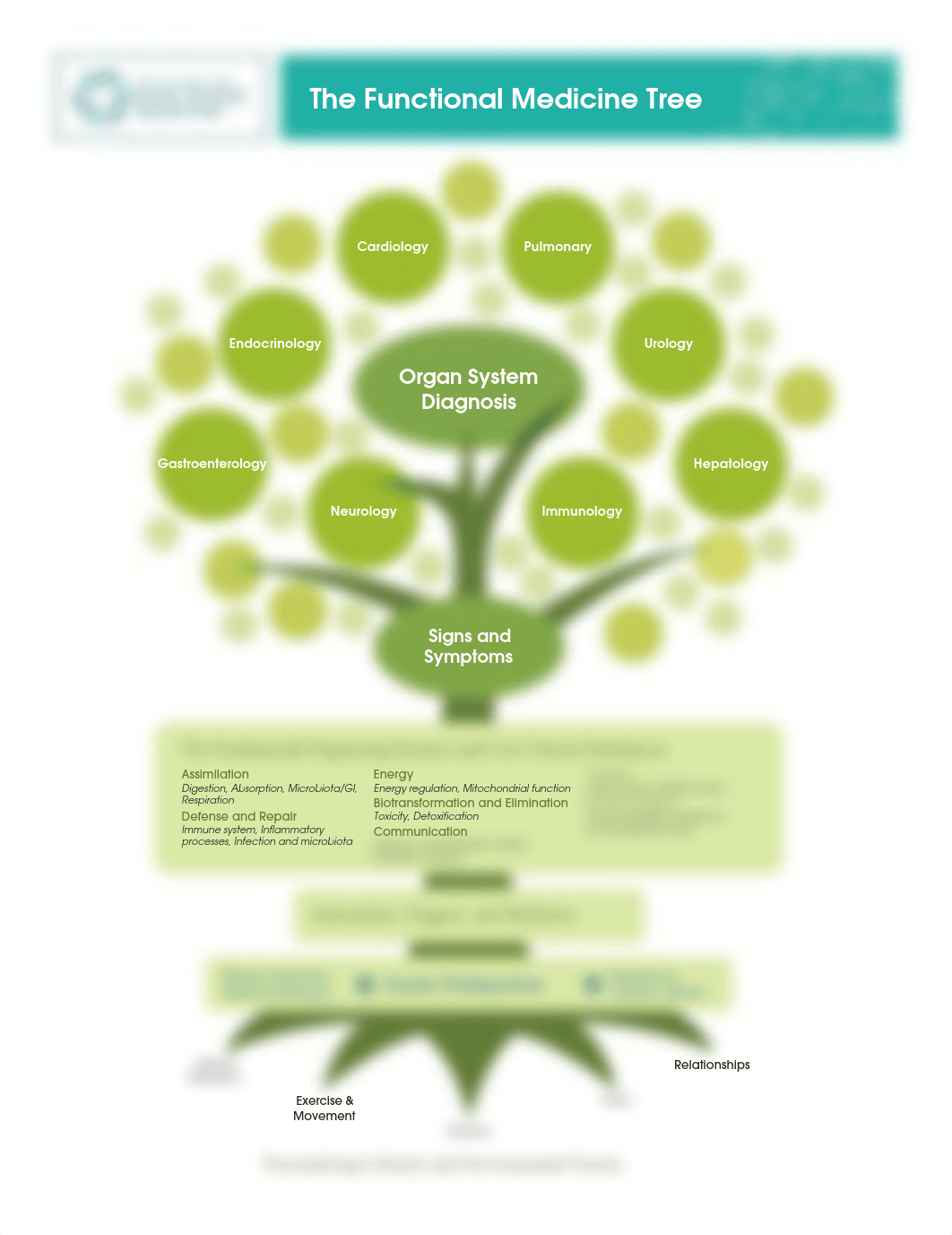 Functional medicine tree.pdf_dbnemwmiapi_page1