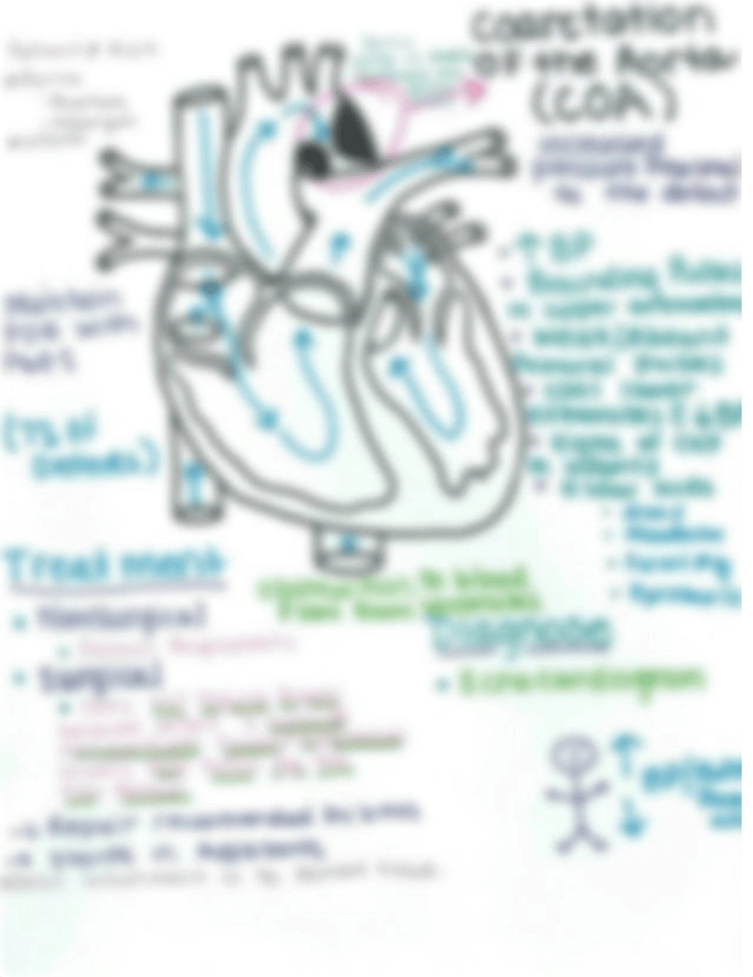 coarctation of the aorta_dbnmhc1ta49_page1