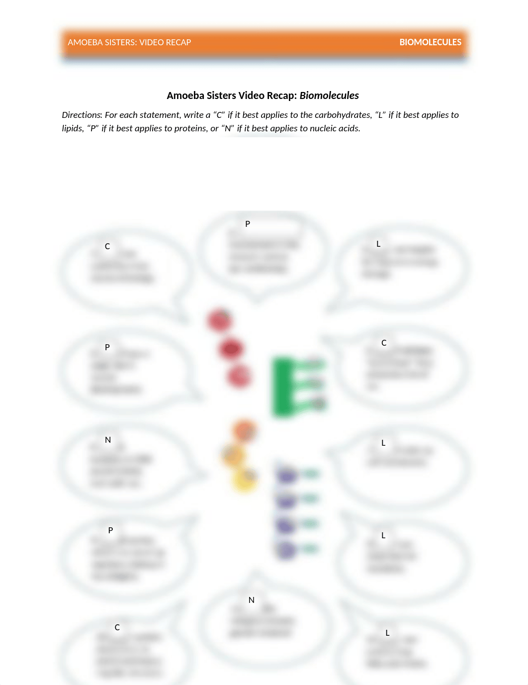 Amoeba Sisters Biomolecules video recap worksheet.docx_dbnns7ws2k1_page1