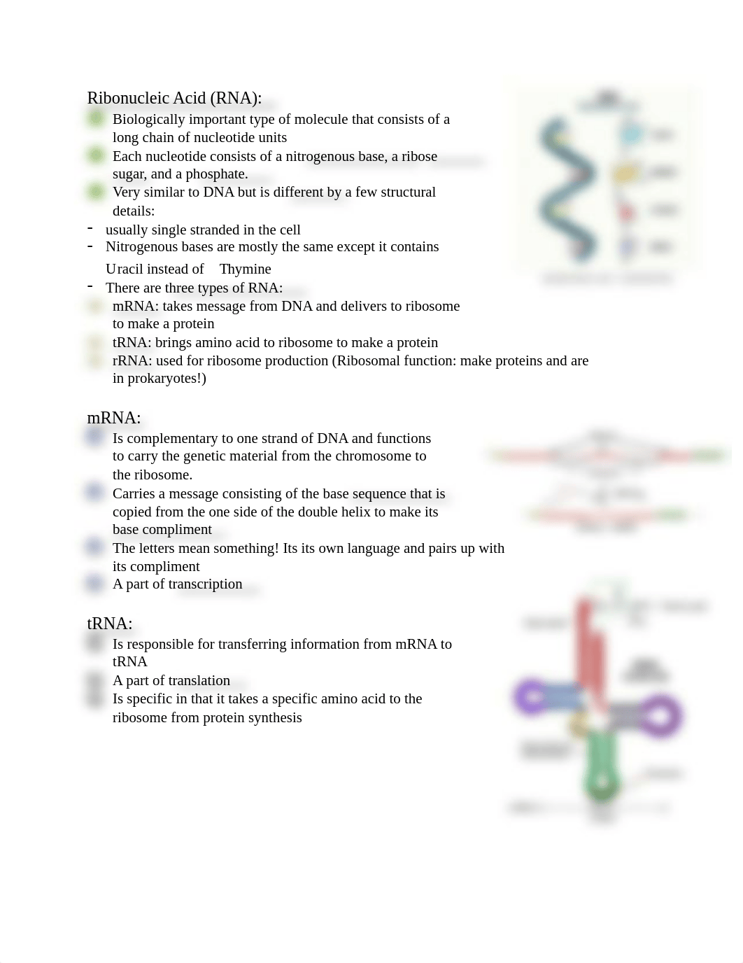 Microbiology Exam 3.pdf_dbnqnpi7v53_page2