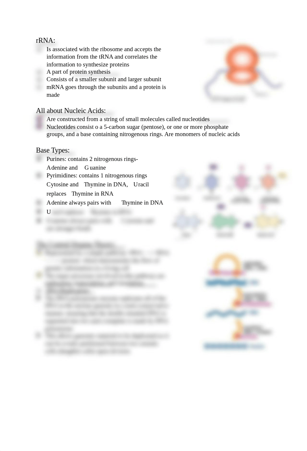 Microbiology Exam 3.pdf_dbnqnpi7v53_page3