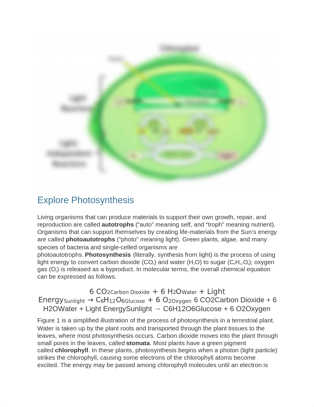 Photosynthesis lab.docx_dbns7oslkg8_page2