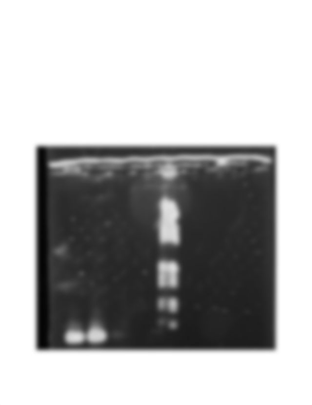 PCR and Plasmid DNA_dbnsjcpdvd2_page3