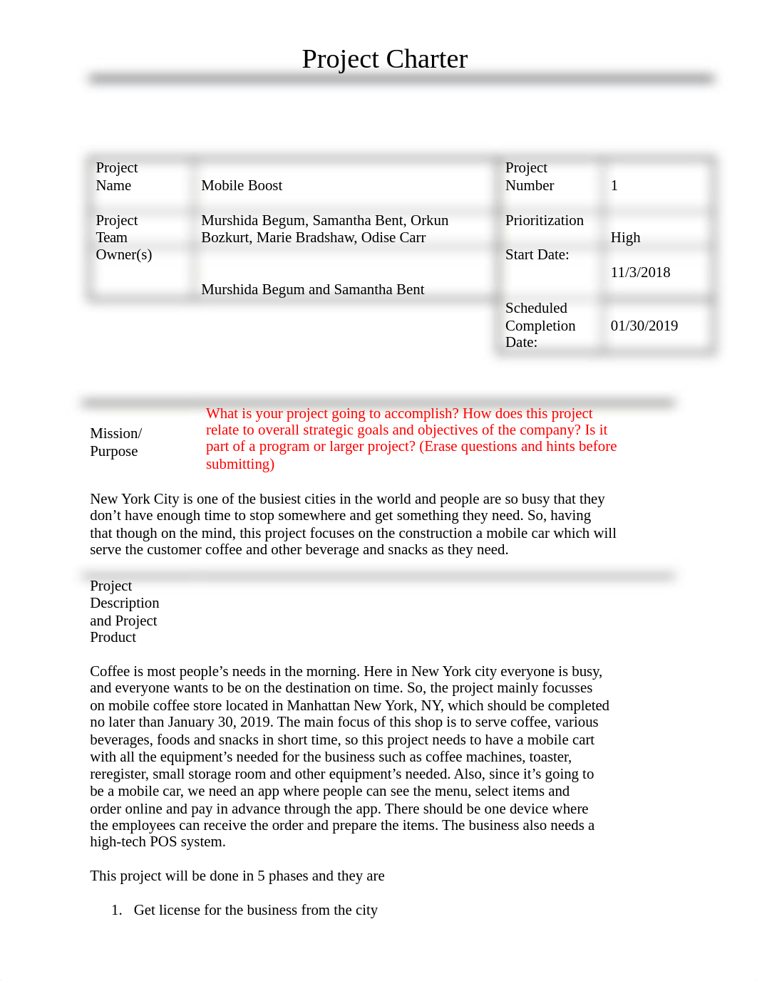 1WK1 DEVRY Project_Charter_team1.docx_dbnx1v2yfoa_page1