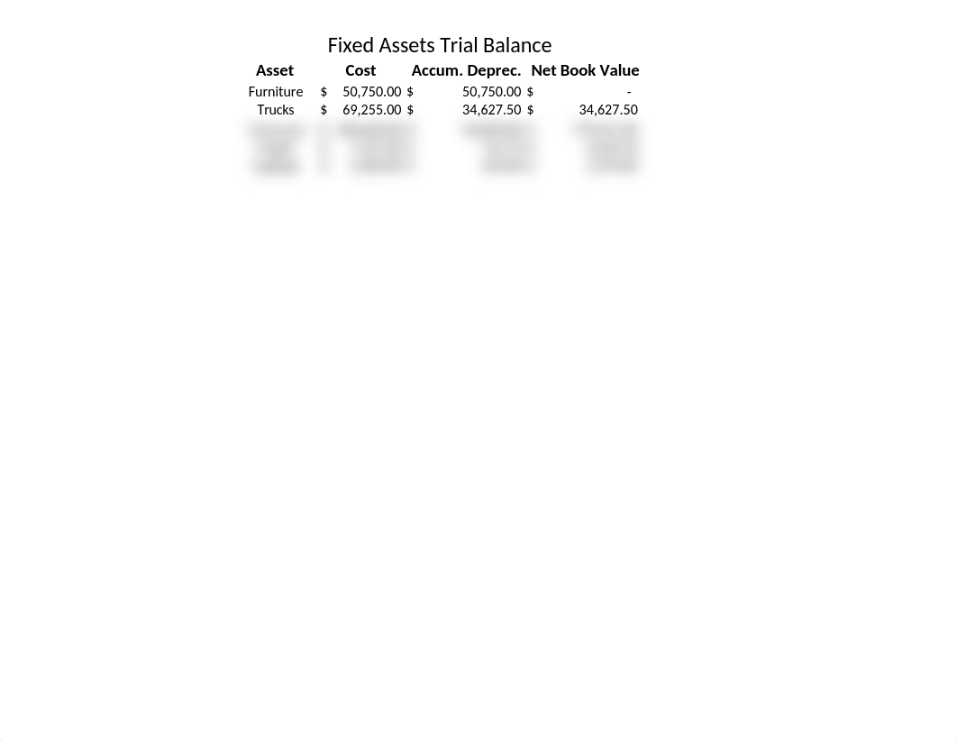 Fixed Assets Trial Balance_dbo13g2i50o_page1