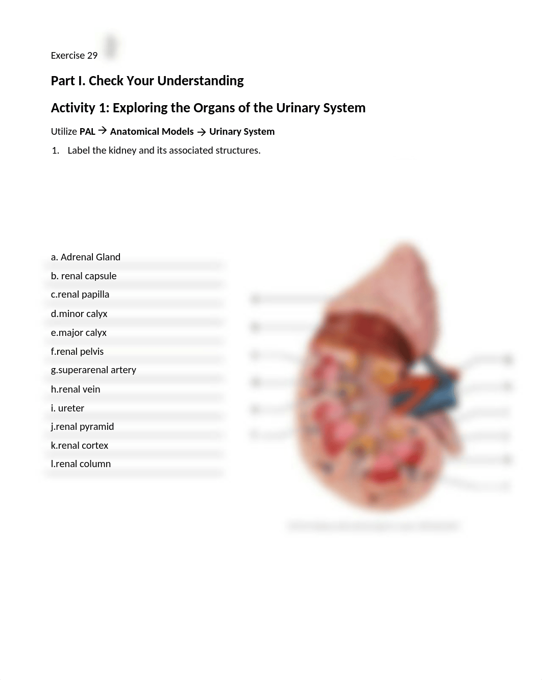 14. Unit 14 laboratory exercise 29.docx_dbo4xk94j4p_page1