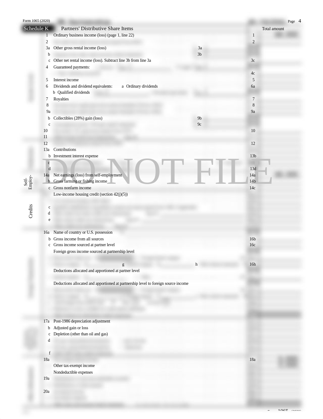 PW Partnership 2020 Federal Form 1065 Page 4.pdf_dbodug505rh_page1