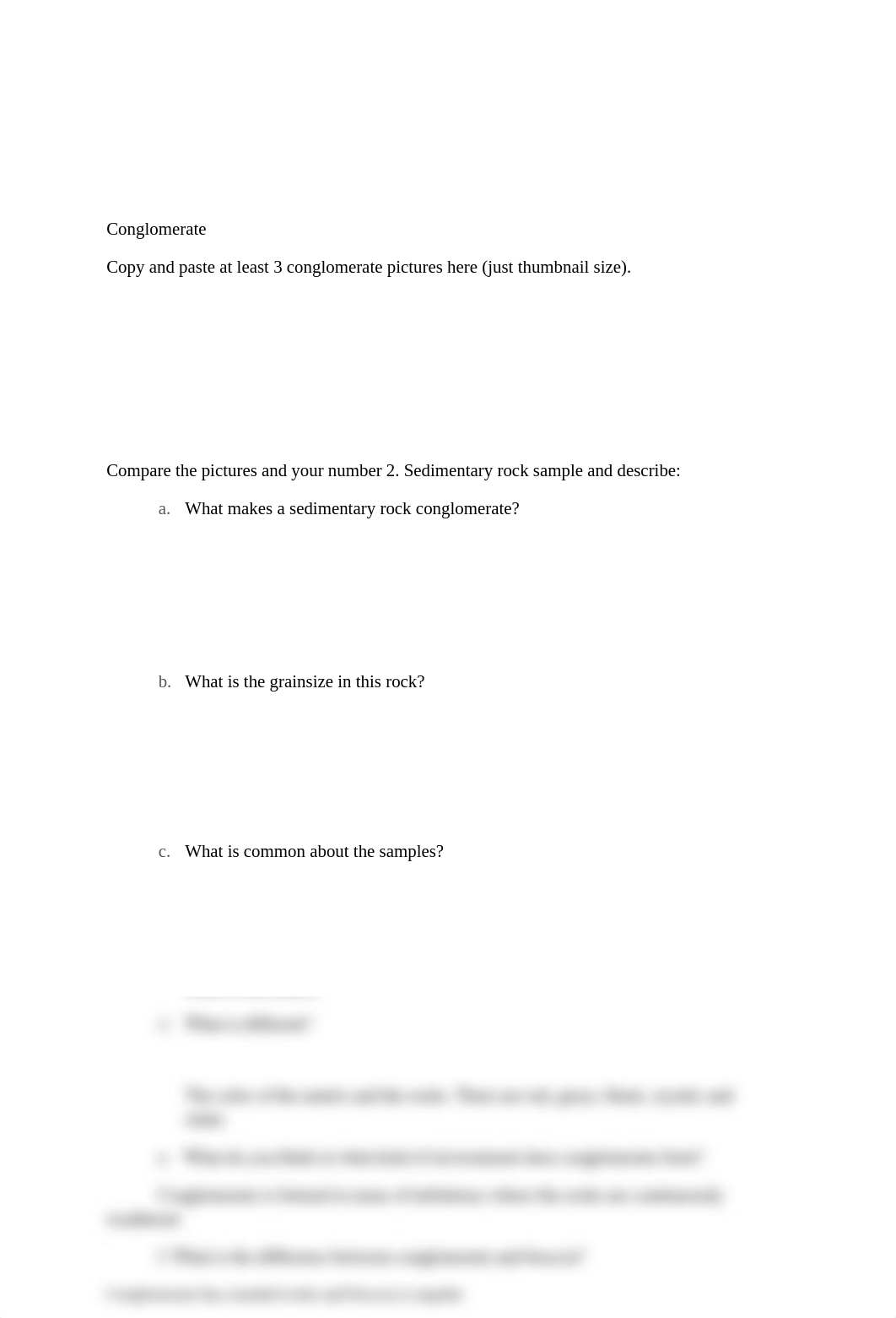 Sedimentary rock lab (1).docx_dboh6pk051x_page3