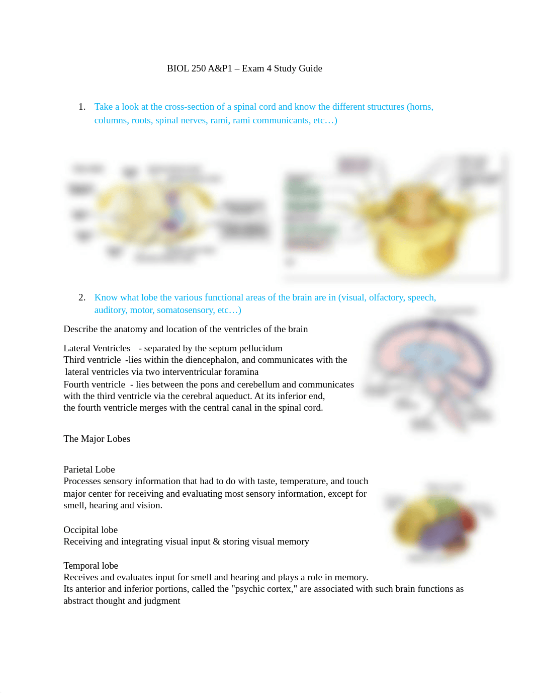 BIOL 250 Exam 4 SG Complete.docx_dbohdjf8fse_page1