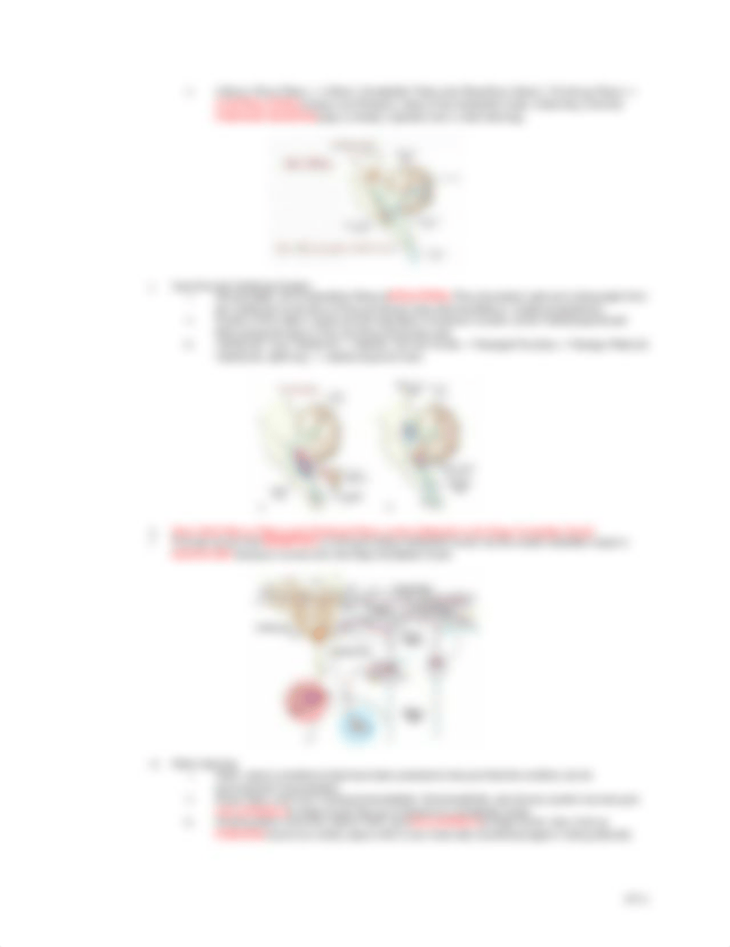 Neuro Block 3.docx_dboi5cwwdd4_page3