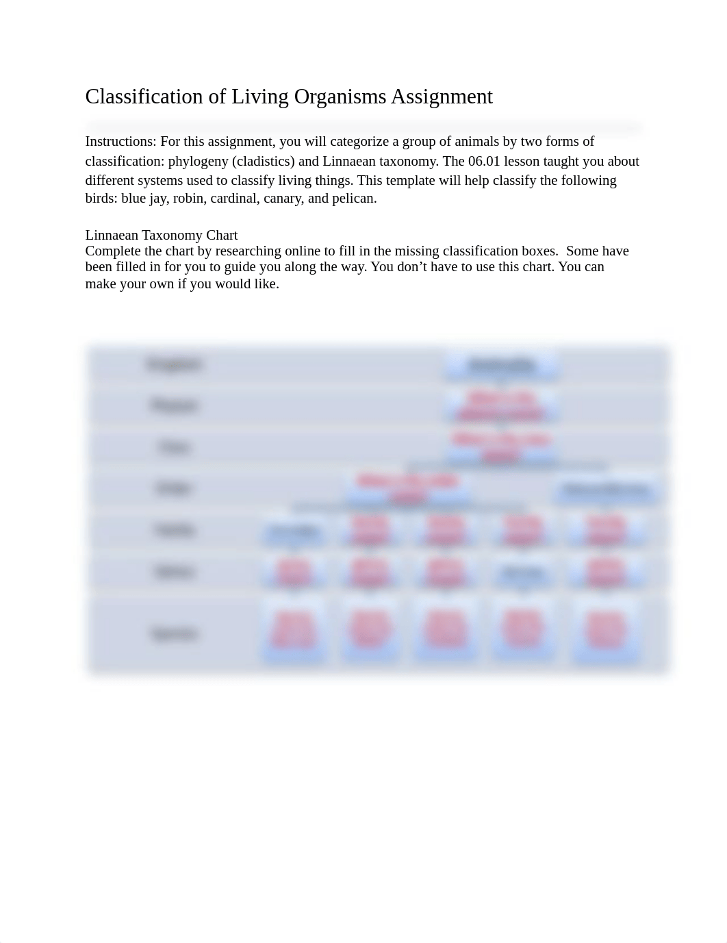 06_01 Classification Assignment Template.pdf_dbop8c0fogx_page1