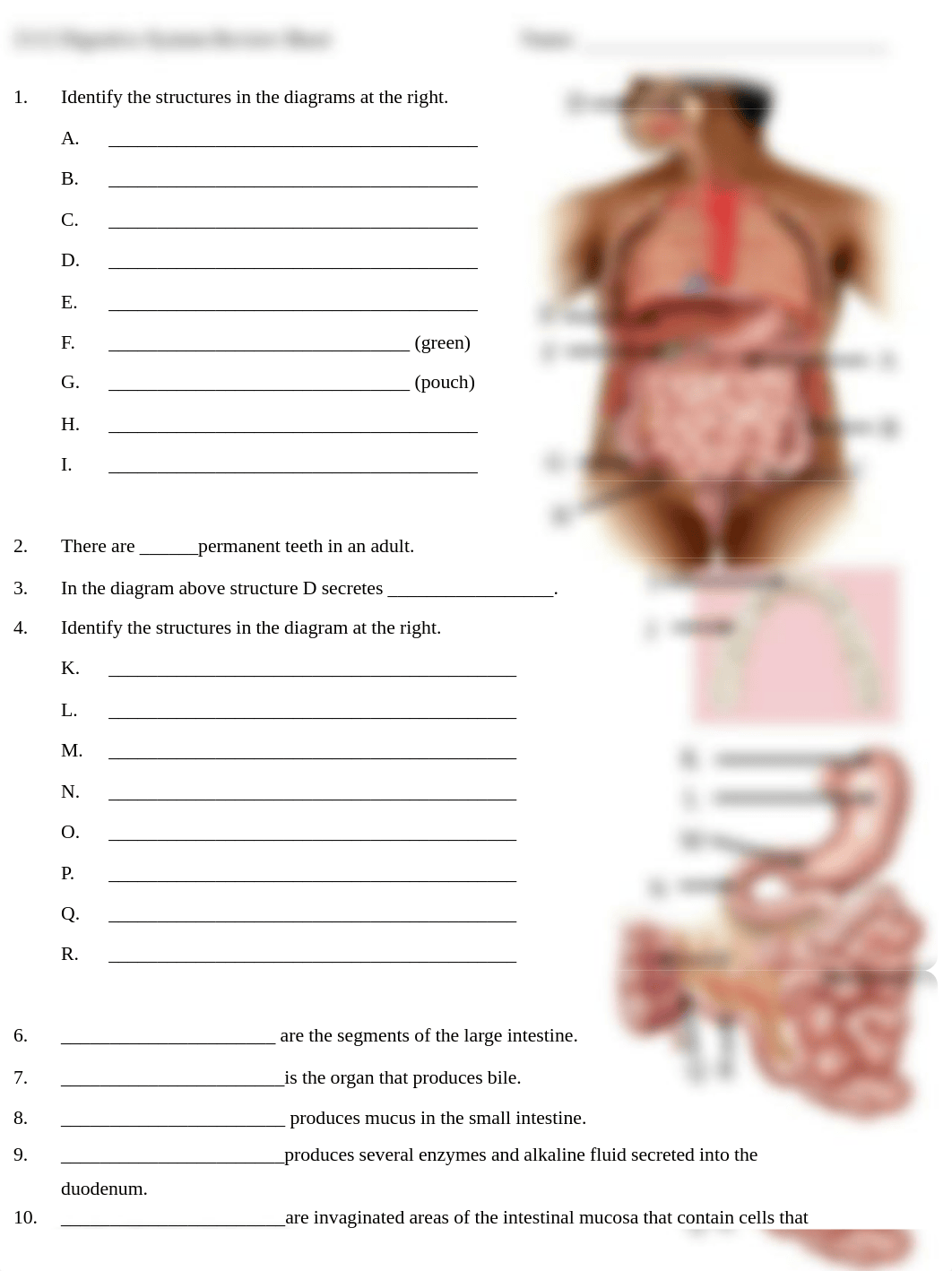 2112 Digestive System Review.pdf_dborjjk38rs_page1