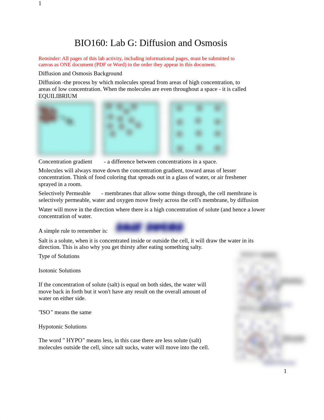 Lab G Diffusion and Osmosis.docx_dbouxonv9cq_page1