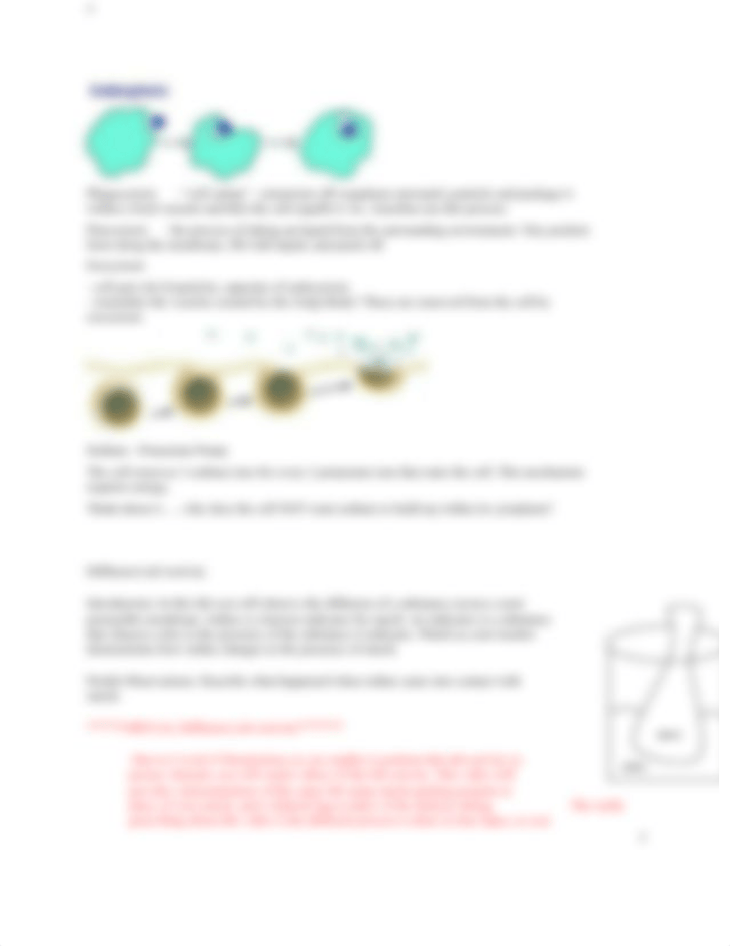 Lab G Diffusion and Osmosis.docx_dbouxonv9cq_page3