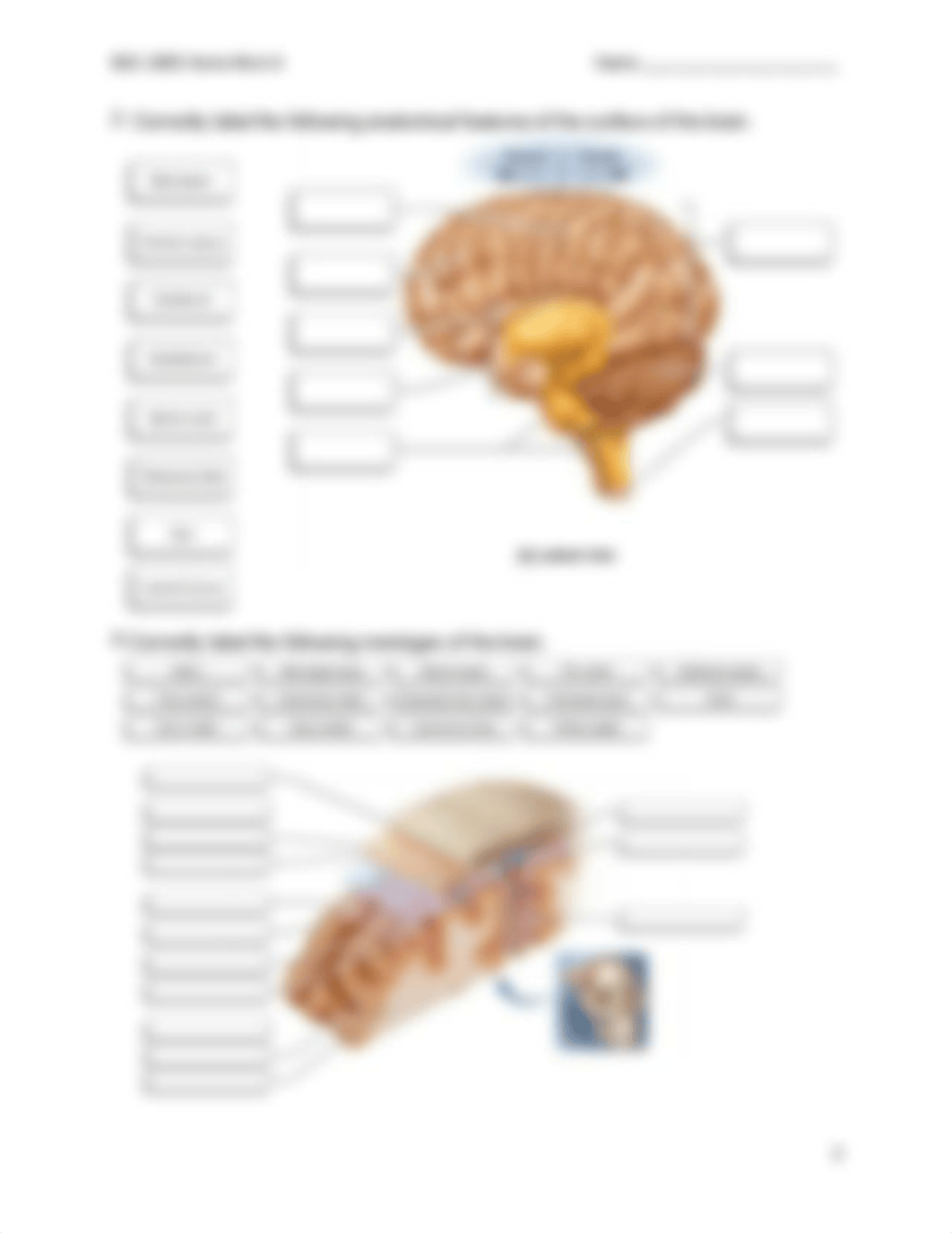 BSC 2085 Home Work 6 (Ch. 14).pdf_dbouyfftlo8_page2