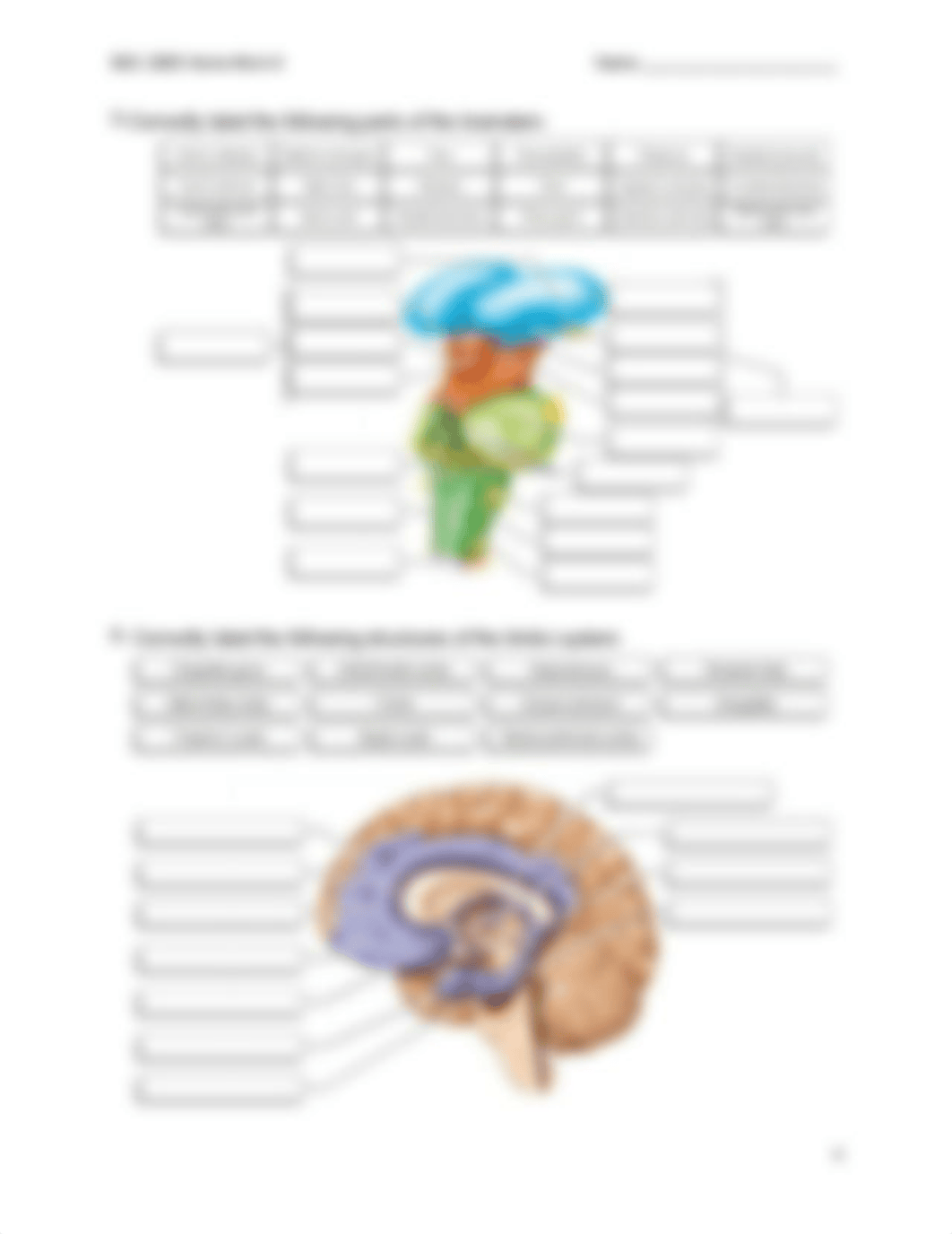 BSC 2085 Home Work 6 (Ch. 14).pdf_dbouyfftlo8_page4