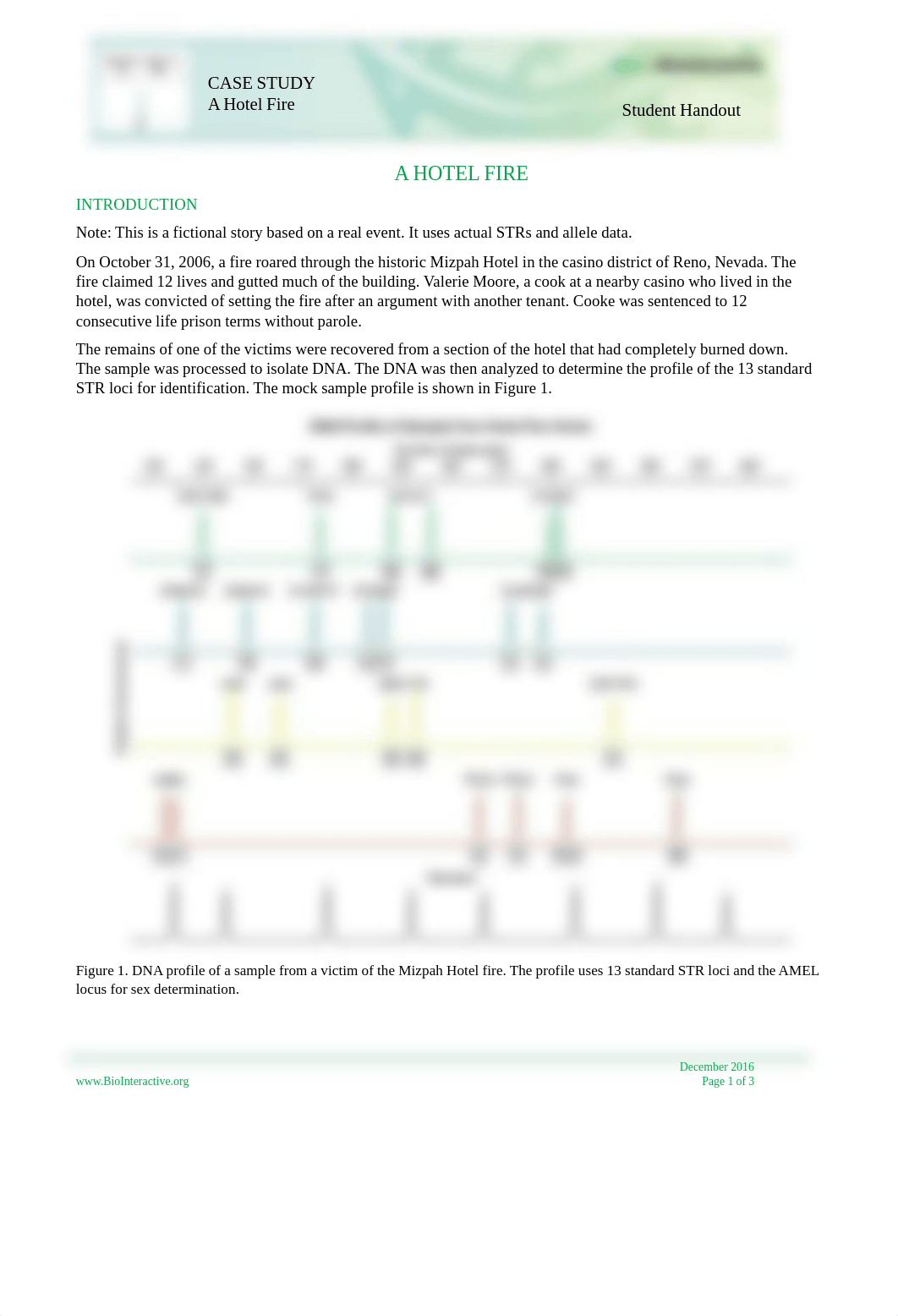 Hotel-Fire-CS.pdf_dboxp4fmt57_page1