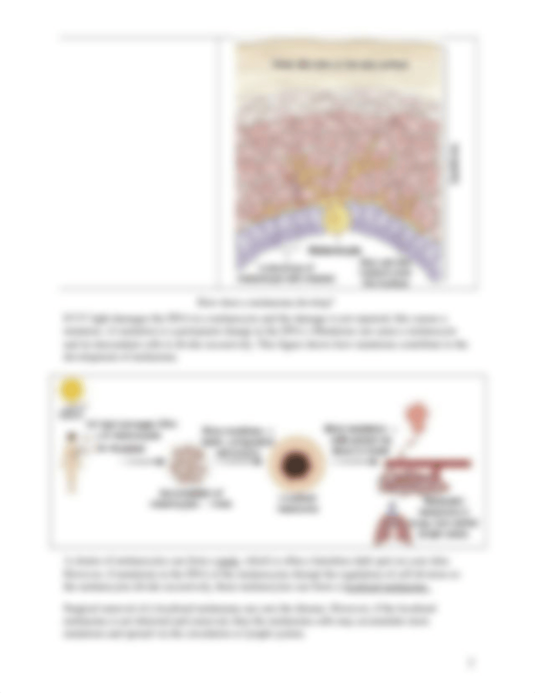 Melanoma biology handout-2.docx_dbpd300u4ah_page2