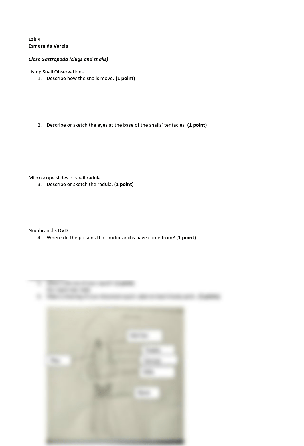 Lab 4 Addendum.pdf_dbpf1sdz4wc_page1