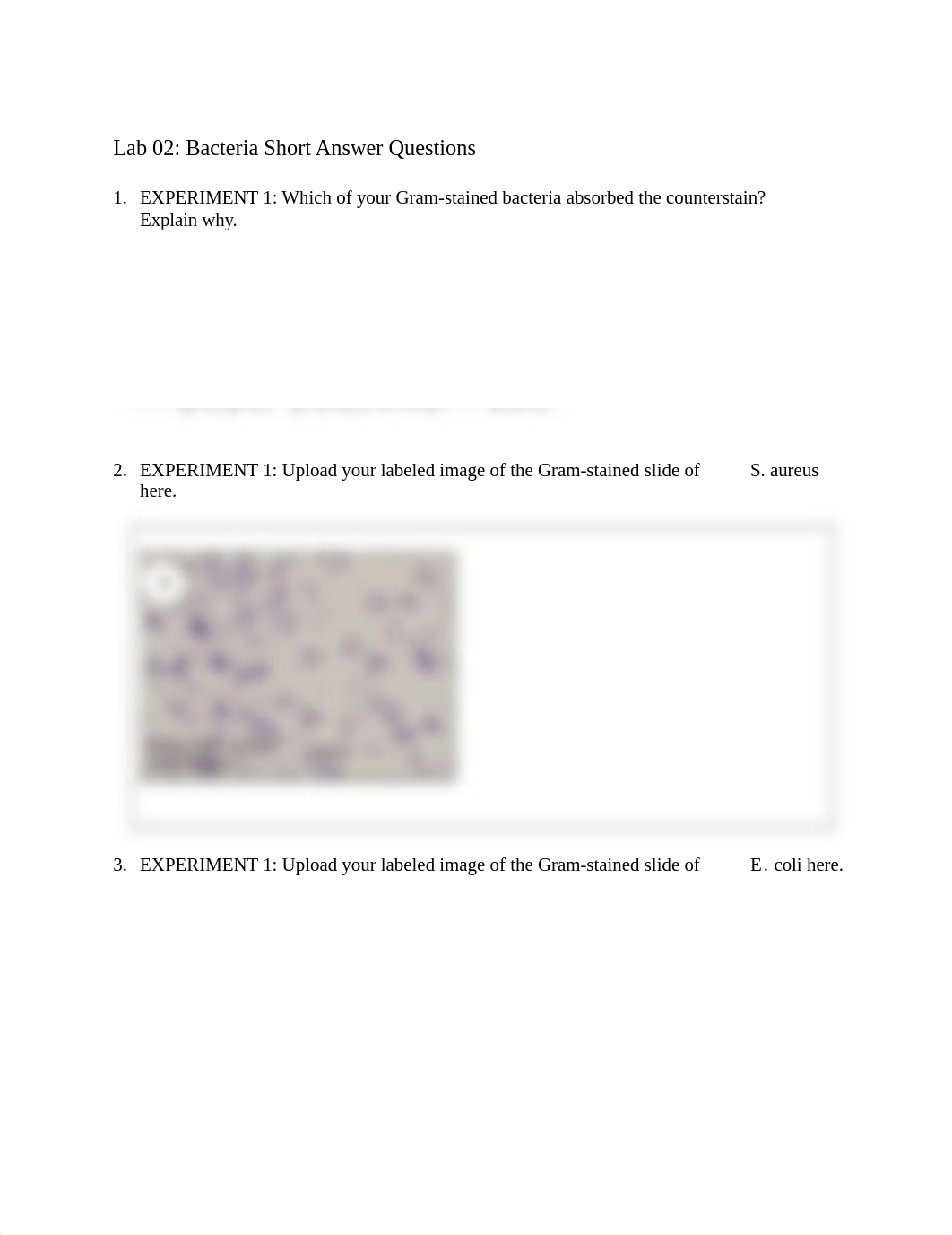 Lab 02 Bacteria Short Answer Questions.docx_dbpflb3bwen_page1