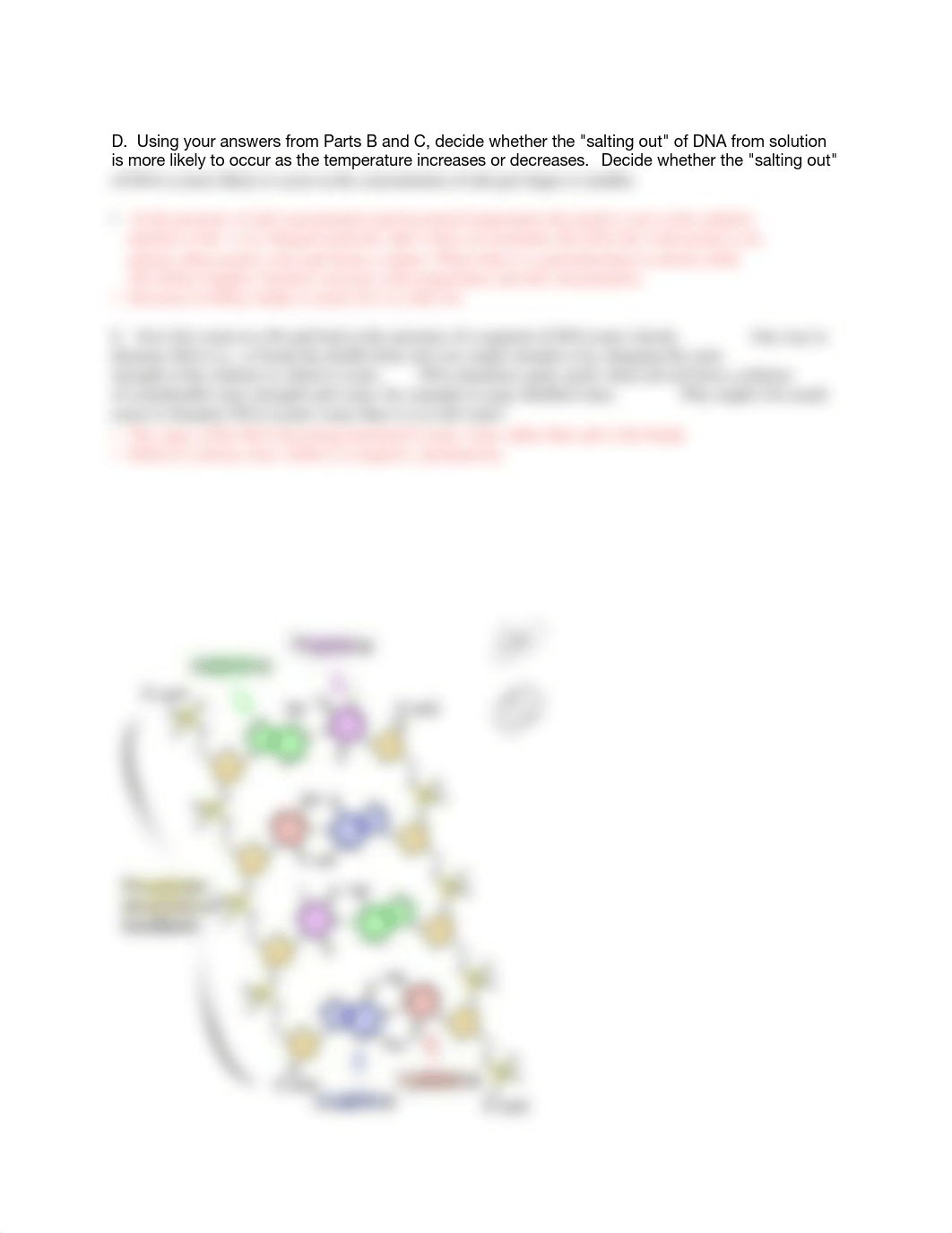 Recitation #7 - Salting Out and Denaturing DNA.pdf_dbpfv1odaik_page2