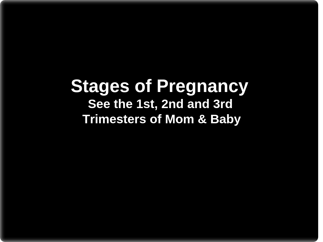 2.8 Stages of Pregnancy PowerPoint.ppt_dbphdkhhd1k_page1