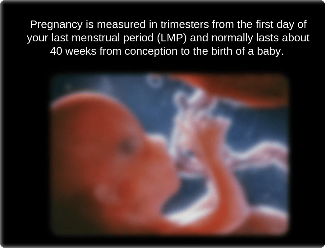 2.8 Stages of Pregnancy PowerPoint.ppt_dbphdkhhd1k_page2