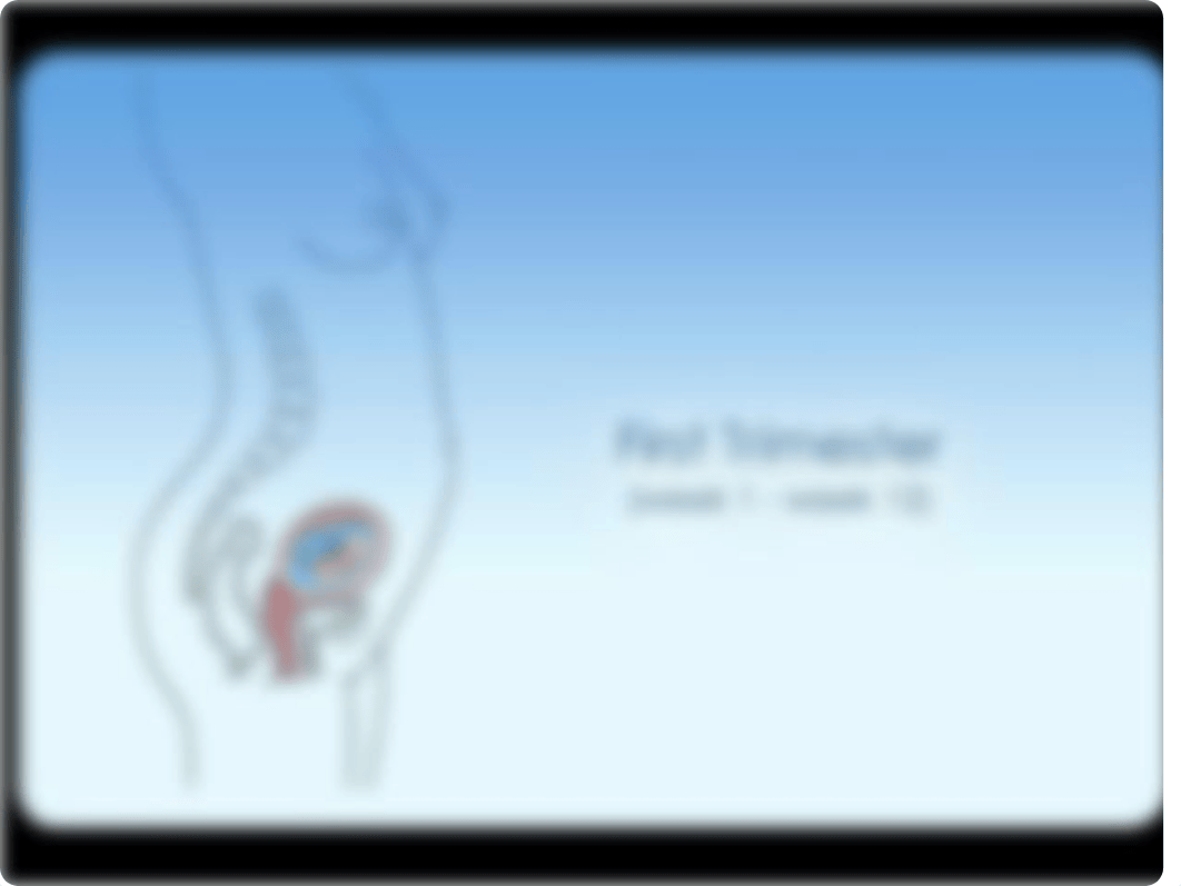 2.8 Stages of Pregnancy PowerPoint.ppt_dbphdkhhd1k_page4