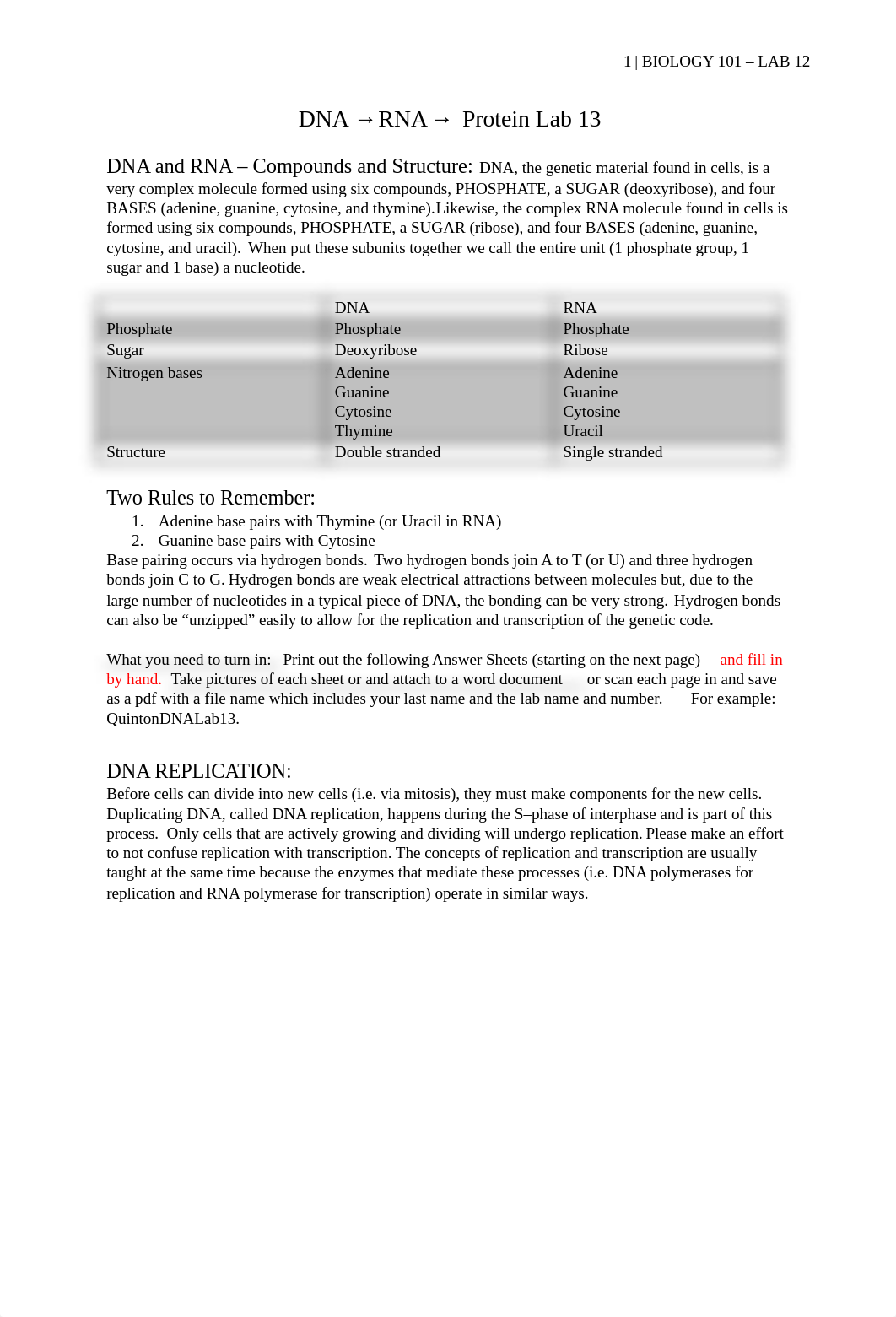 DNA to Protein Lab #11.docx_dbpnxfjtcsa_page1