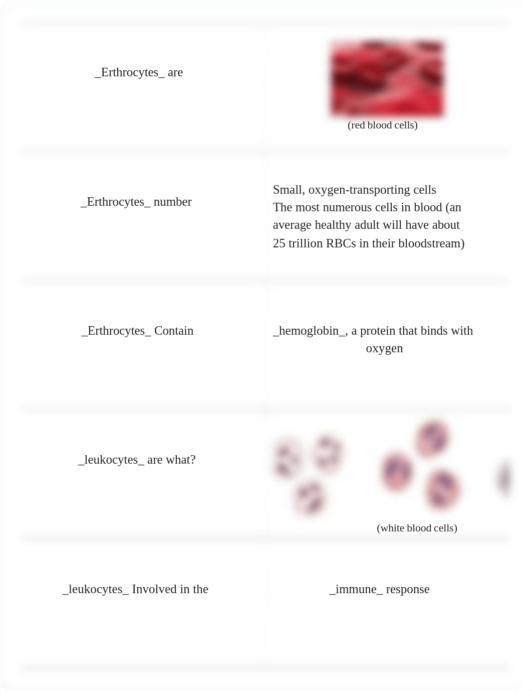 Anatomy 231 Ch 18-19 RIC Baum Blood & Heart_dbpwsiopz9s_page3