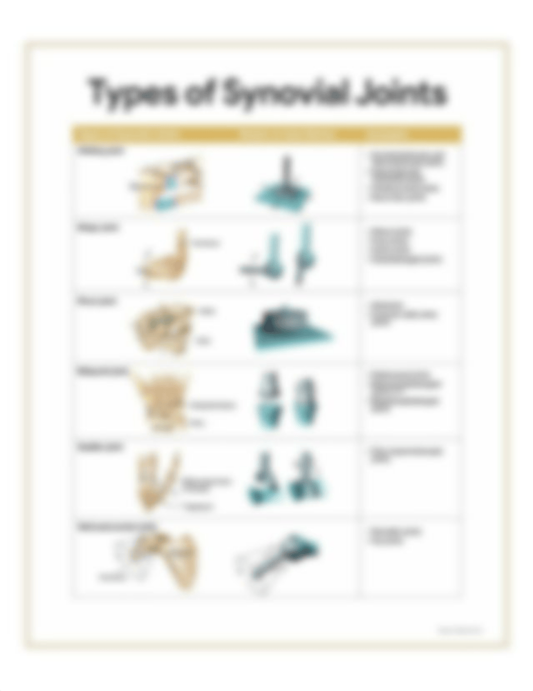 Synovial-Joints-Skeletal-System-Anatomy-and-Physiology-for-Nurses.jpg_dbpyiz3p8v5_page1