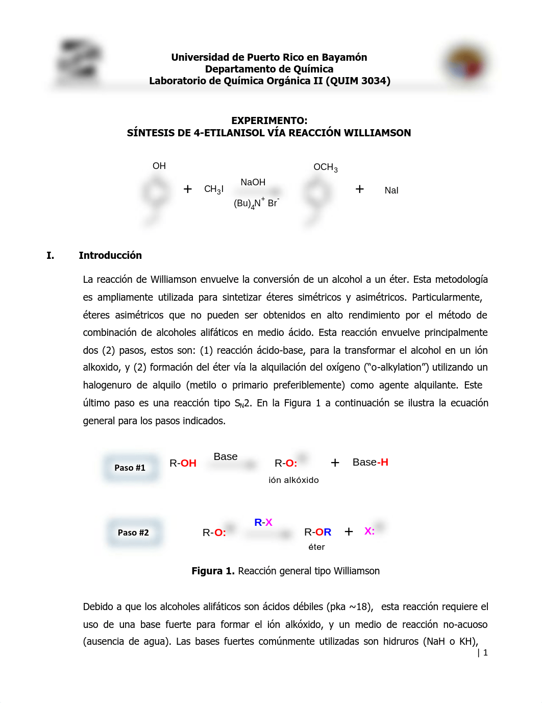 exp williamson.pdf_dbq65j6d7x5_page1