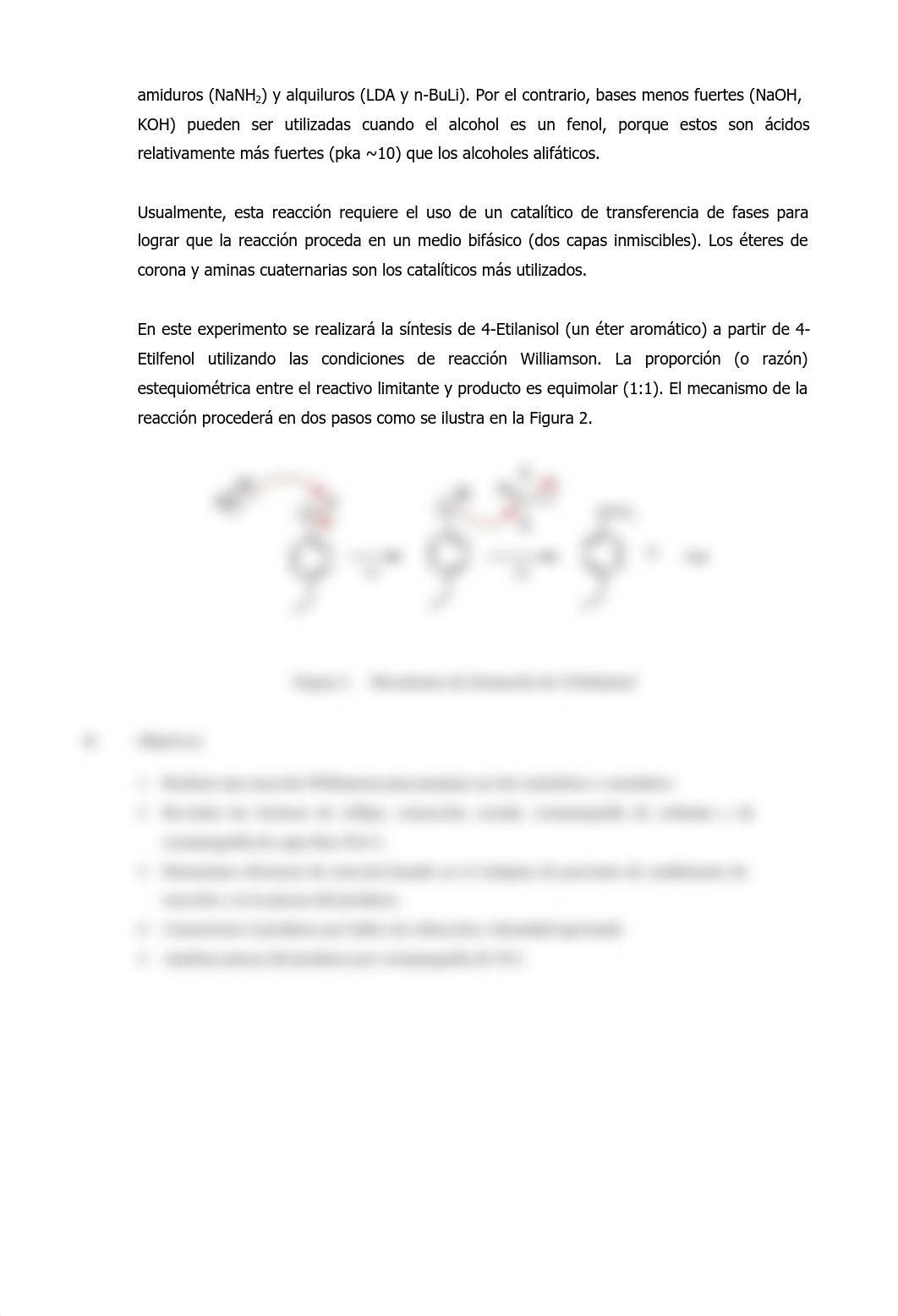 exp williamson.pdf_dbq65j6d7x5_page2