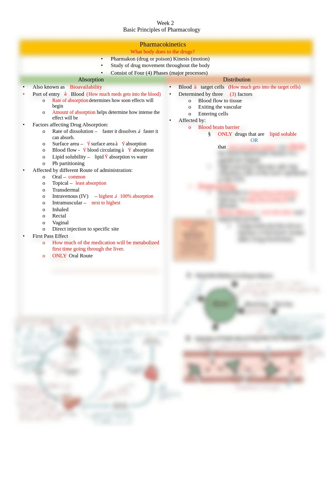 Week 2 - Patho Notes PDF.pdf_dbqa0oyaeac_page1