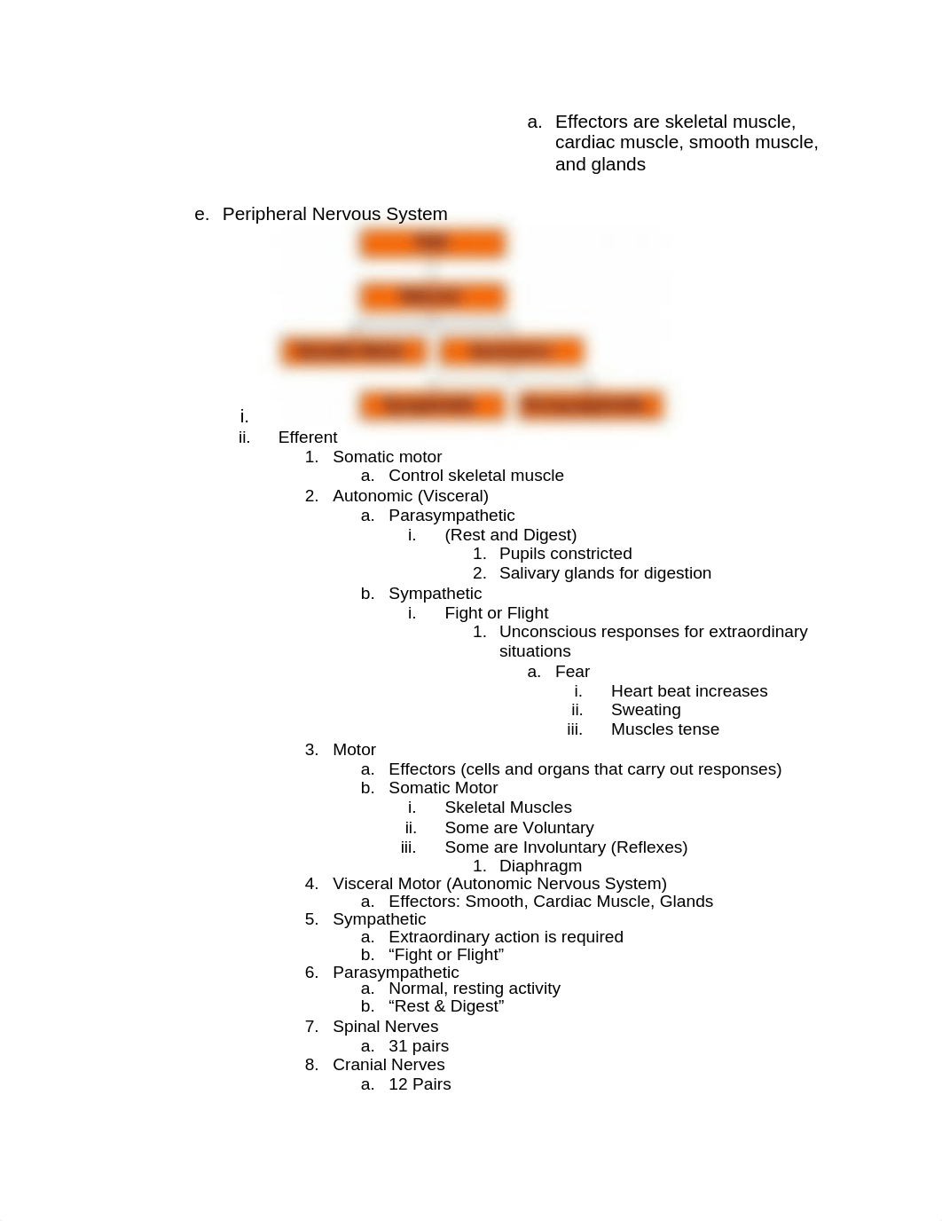 The Nervous System.docx_dbqapx4cl2y_page2