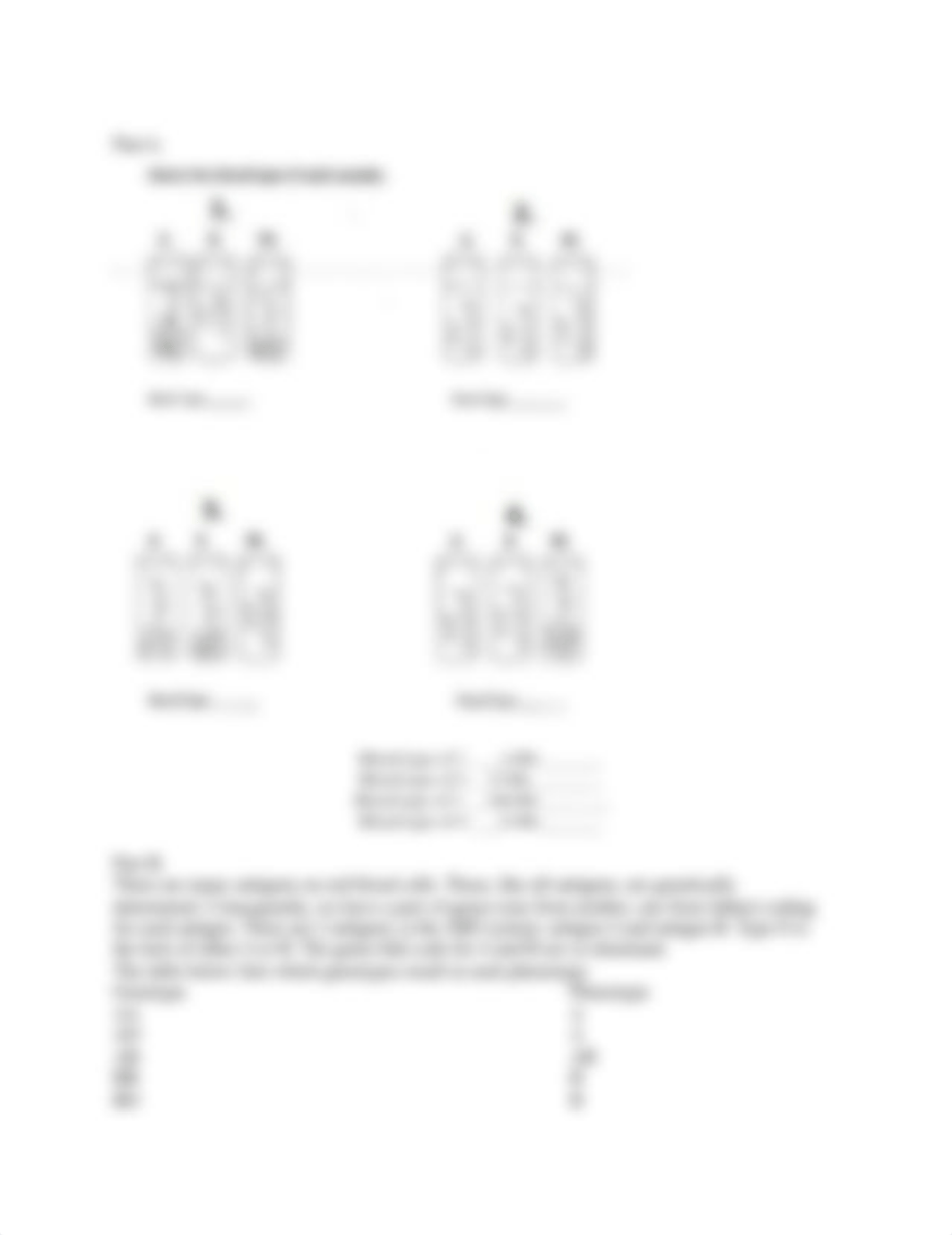 Blood Typing Lab (1).docx_dbqb6cb3ovb_page2