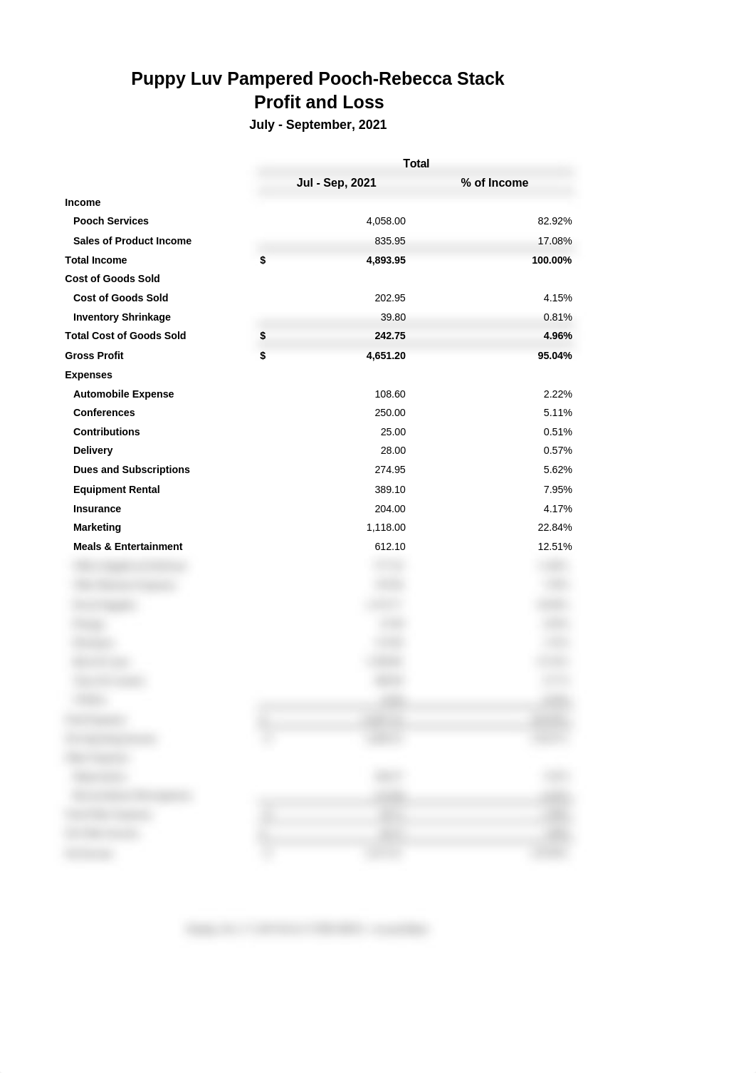 CH11 Profit and Loss Statement.xlsx_dbqbpjft4x3_page1