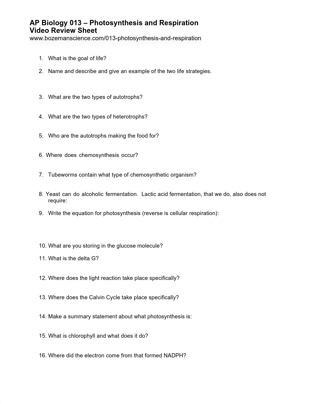 AP+Bio-013+Photosynthesis+&+Respiration+Worksheet-WL_dbqfer0oqud_page1