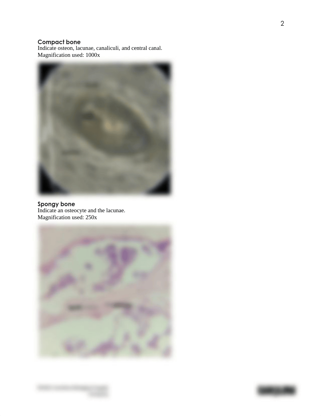 BIO201 Introduction to Histology_Cartilage and Bones_Answer sheet.docx.pdf_dbqjube2jul_page2