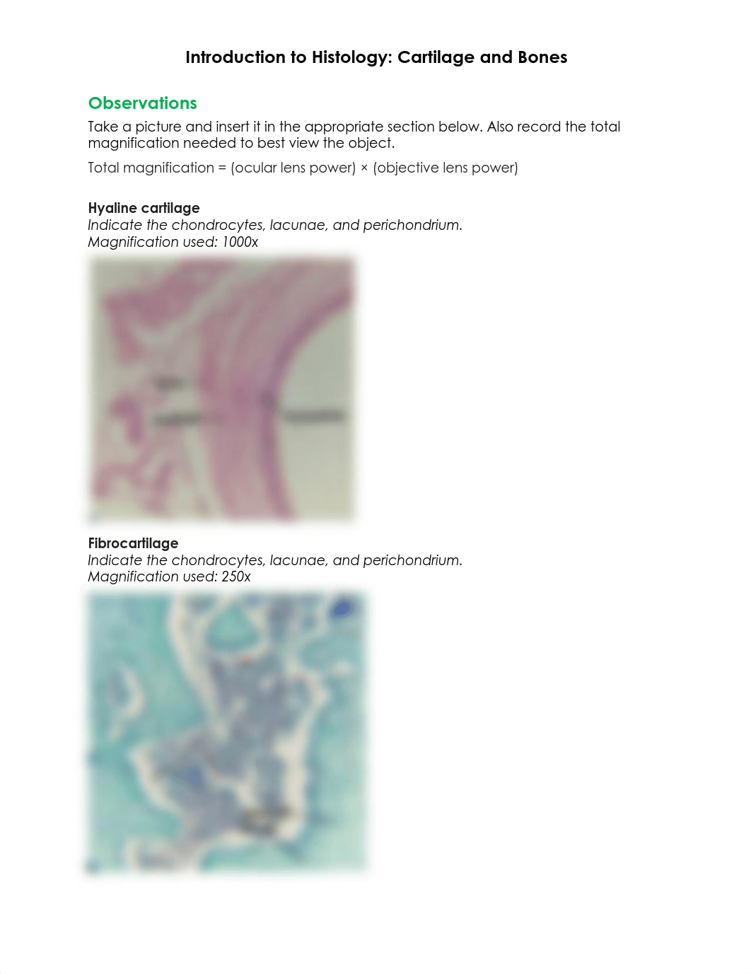 BIO201 Introduction to Histology_Cartilage and Bones_Answer sheet.docx.pdf_dbqjube2jul_page1