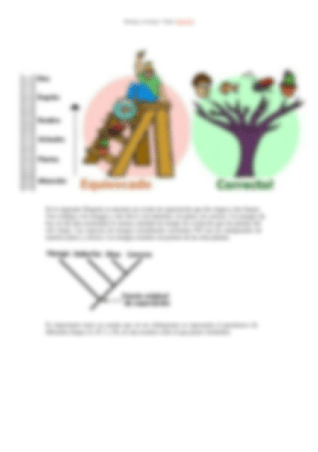 Ej_Cómo construir un árbol filogenético-1.docx_dbqvu560f4t_page3